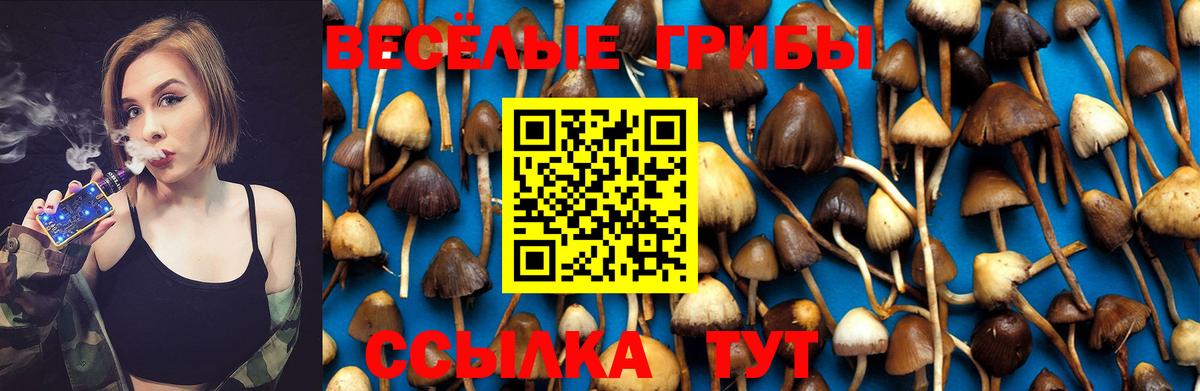 Амурск  Псилоцибиновые грибы Psilocybine cubensis  Вход с VPN 